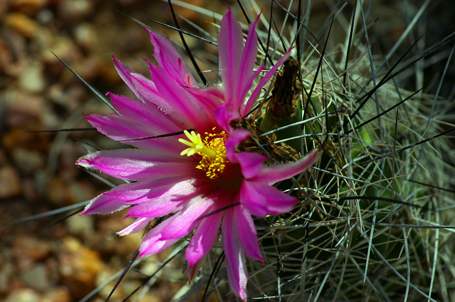 3_IMGP5860