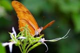 3_IMGP3972