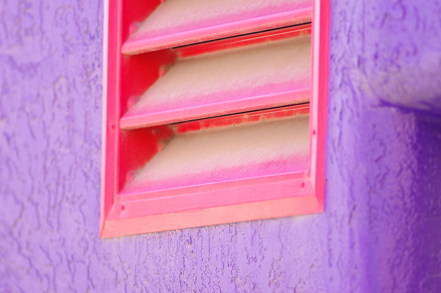 IMGP0398