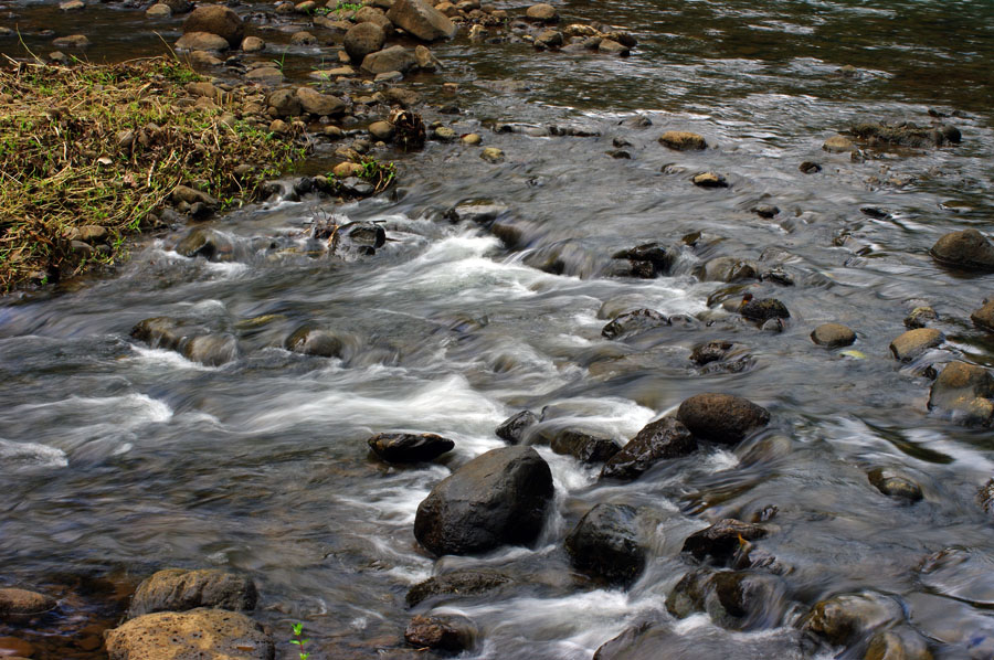 IMGP9798