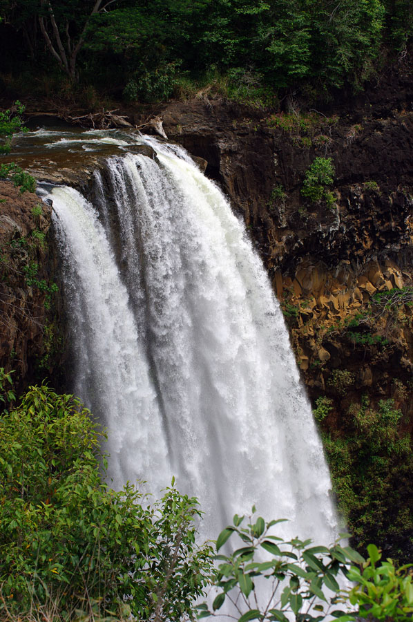 IMGP9819