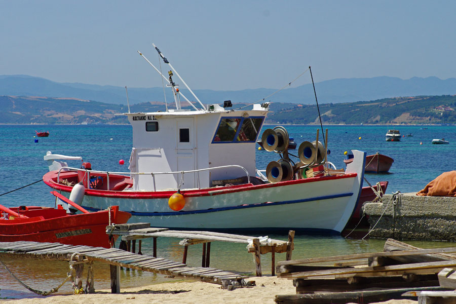 IMGP3009