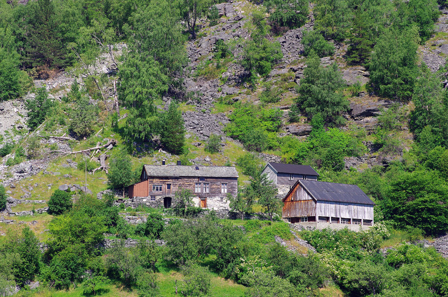 IMGP0209