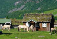 Photos from around the Norwegian Fjords