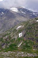 IMGP0571