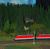 IMGP1036