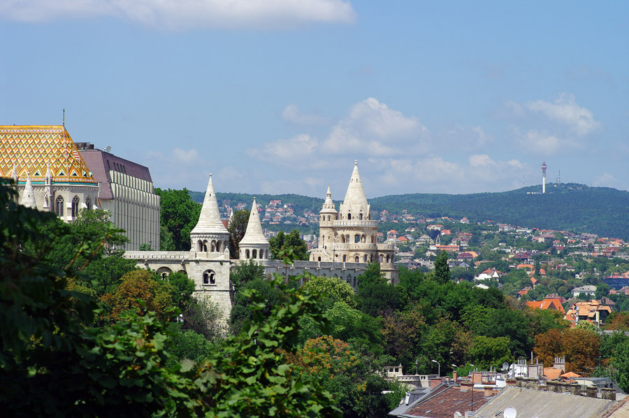 IMGP1572
