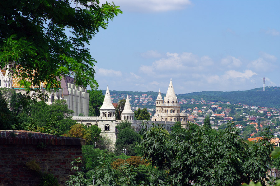 IMGP1584