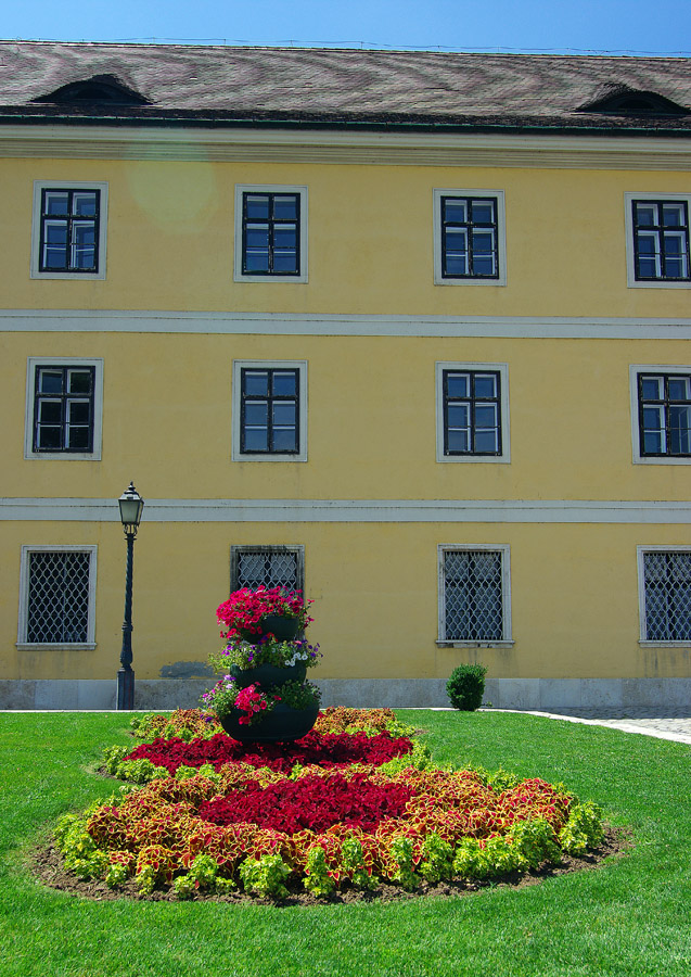 IMGP1618