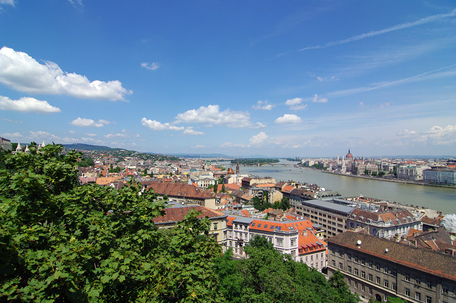 IMGP1619