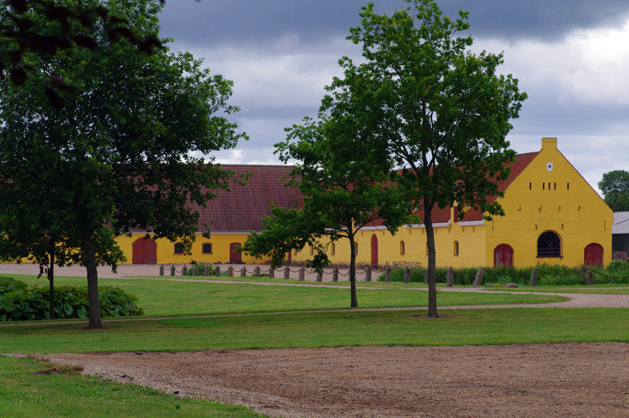 IMGP9318