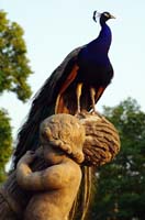 IMGP9807