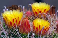 IMGP0784