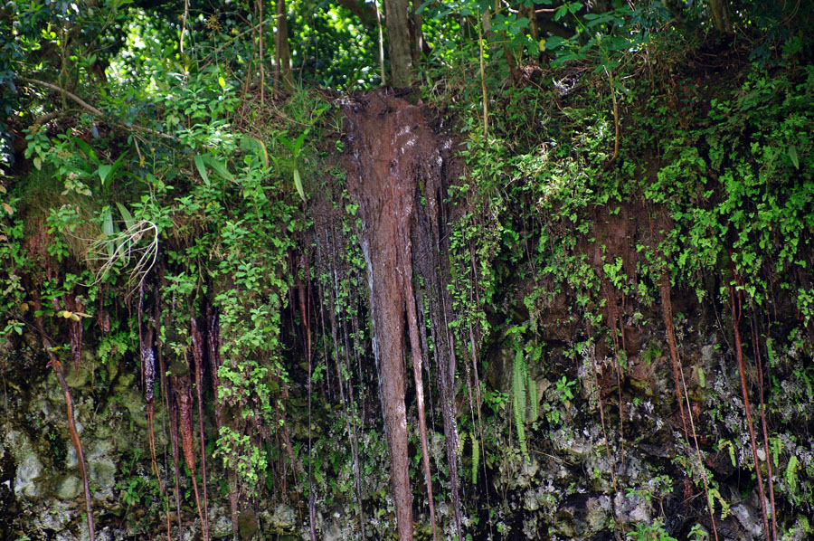 IMGP0089