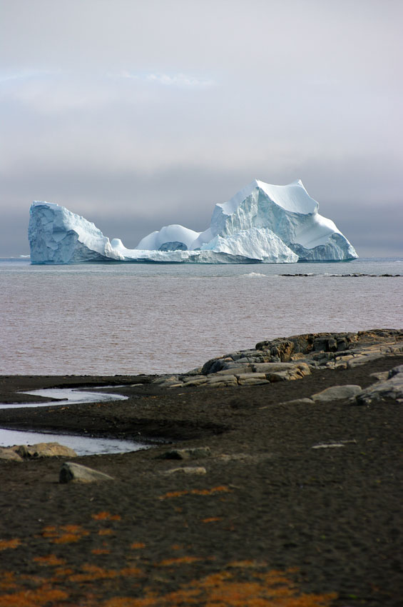 IMGP4219