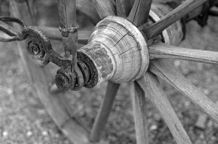 IMGP6240bw