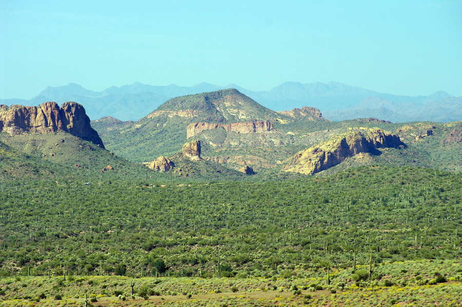 IMGP9443