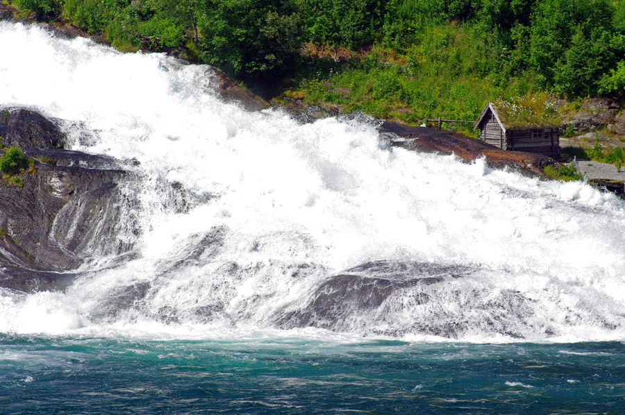 IMGP0261