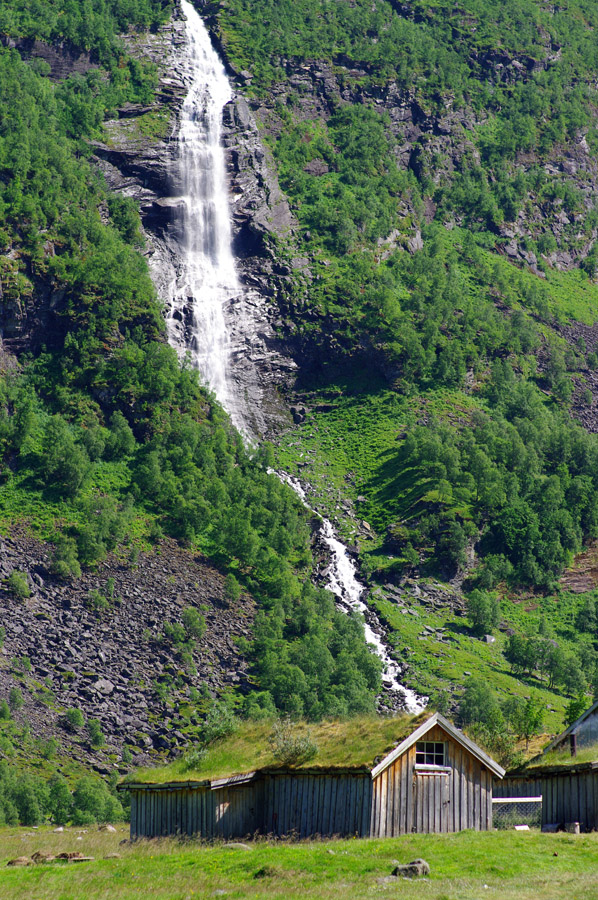 IMGP0423