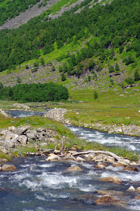 IMGP0491