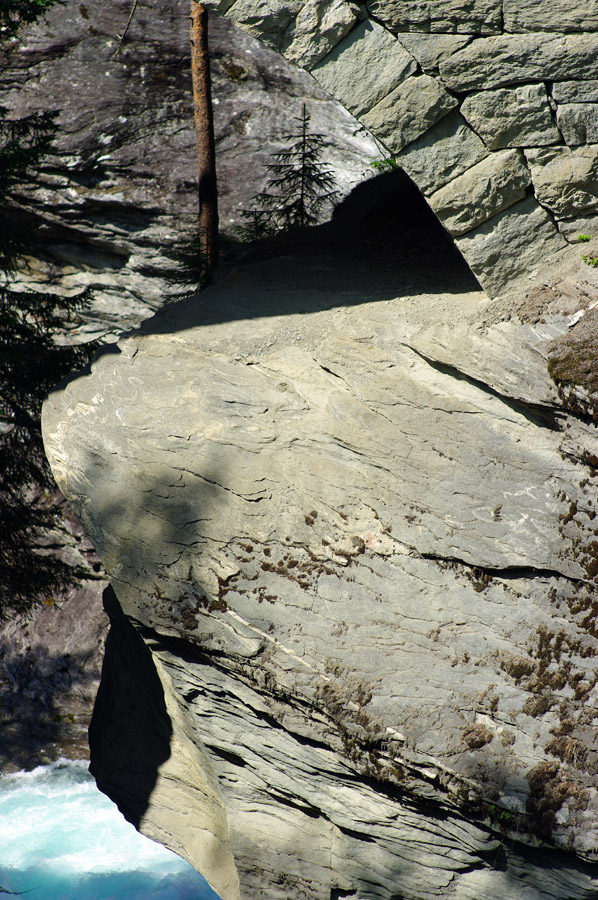 IMGP0560