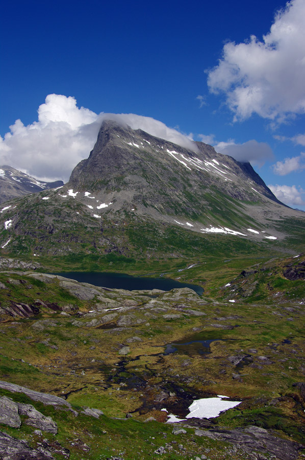 IMGP0595