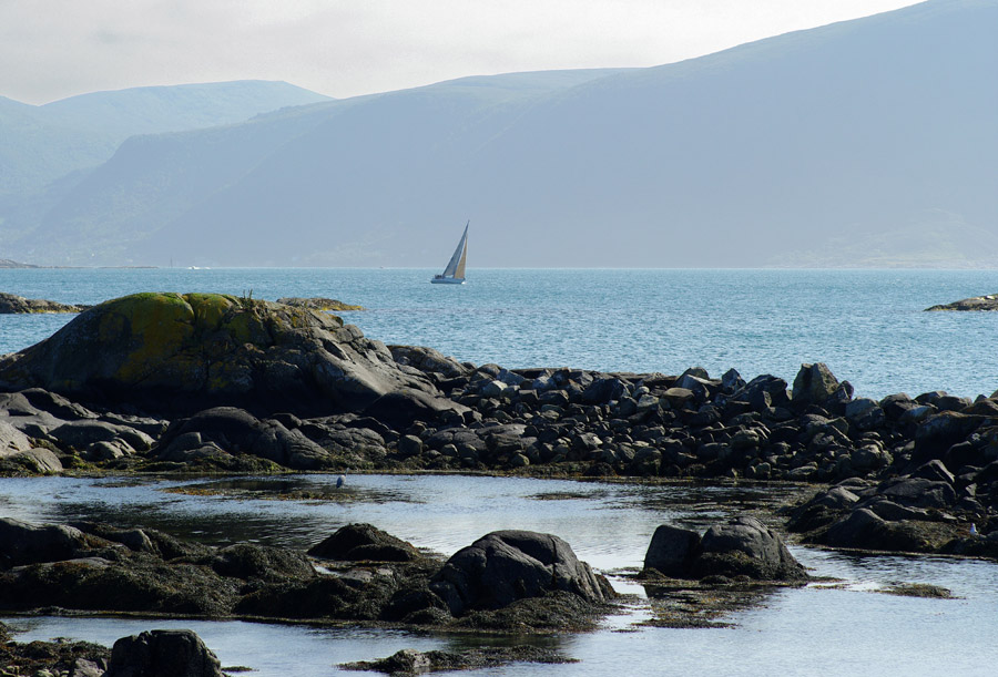 IMGP0863