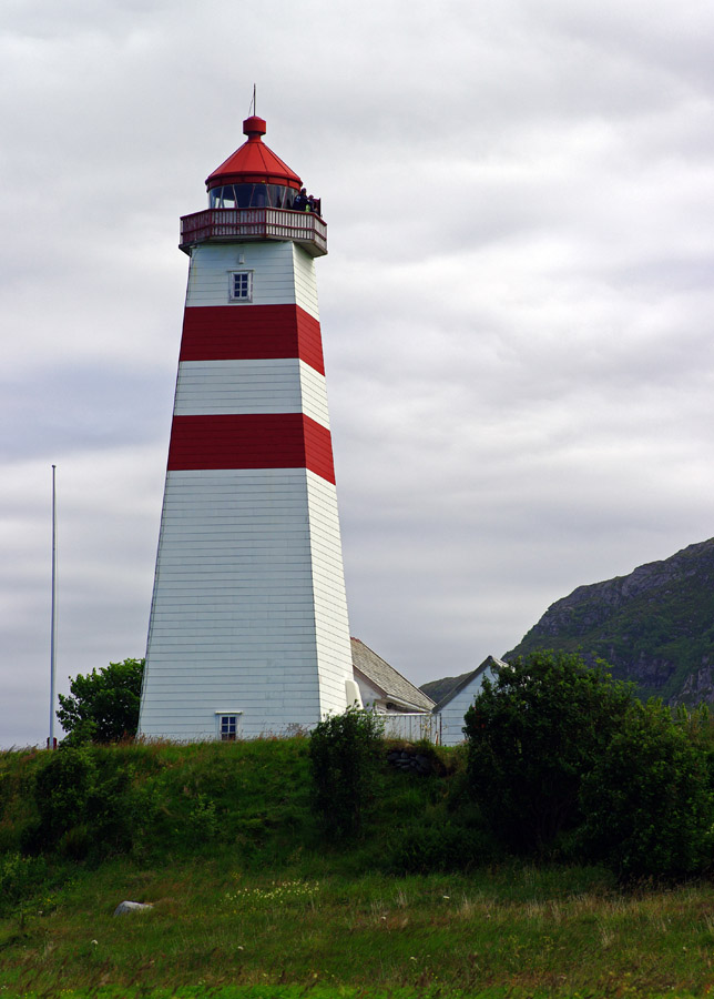 IMGP0954