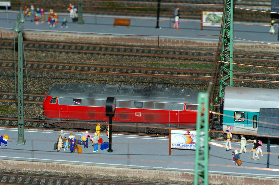 IMGP1071