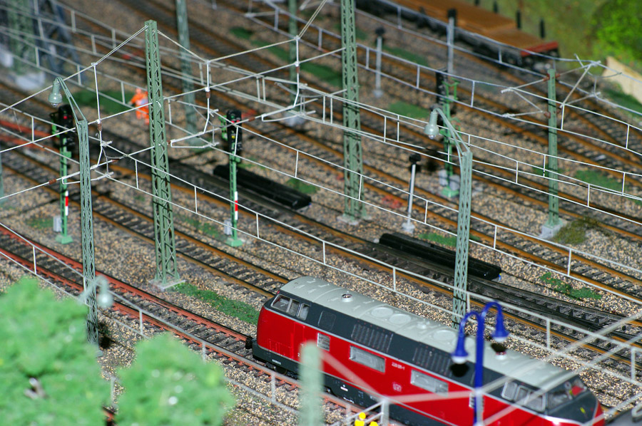 IMGP1088