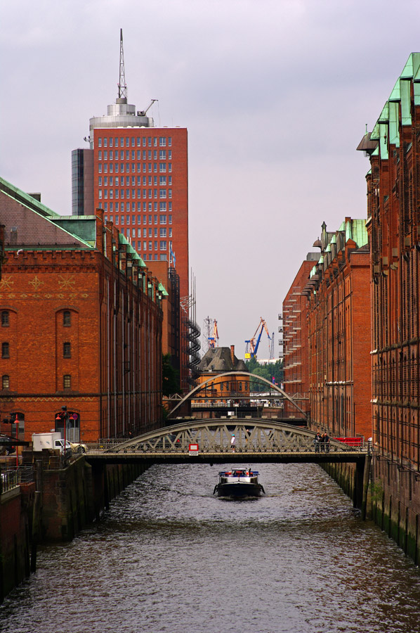 IMGP1241