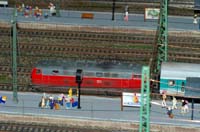 IMGP1071