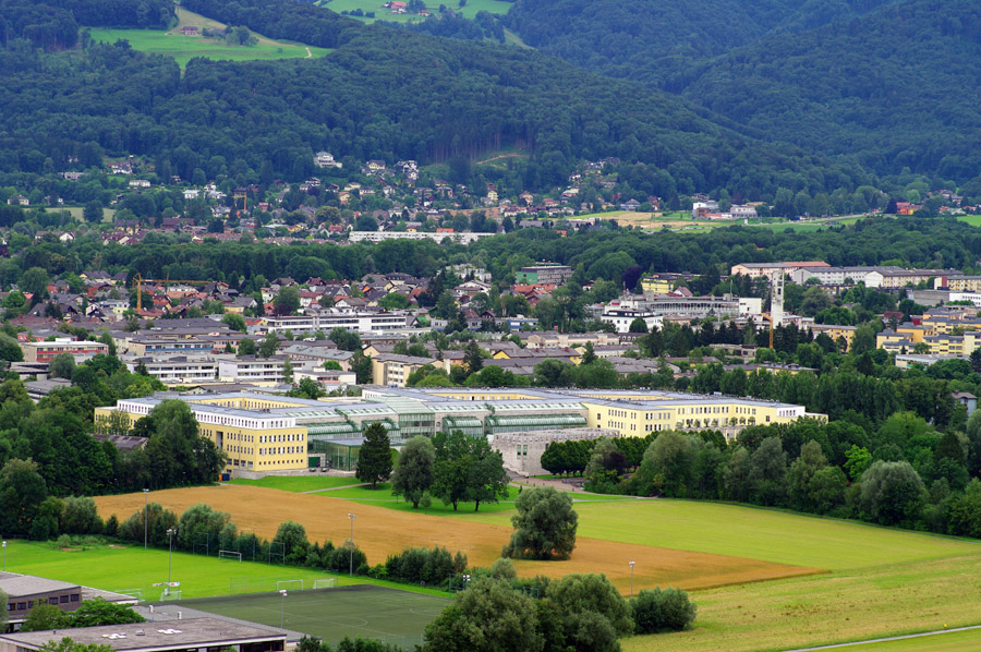 IMGP1447