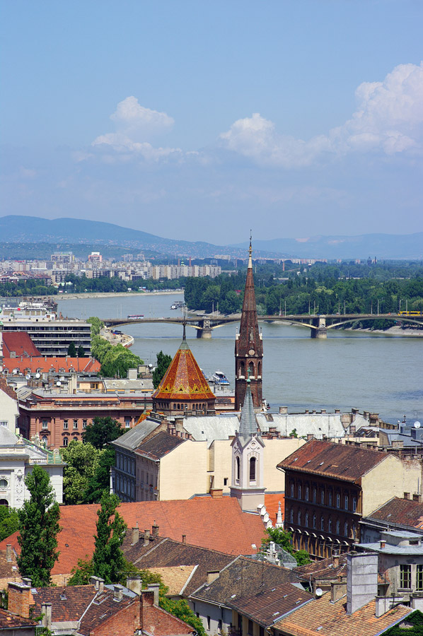 IMGP1597
