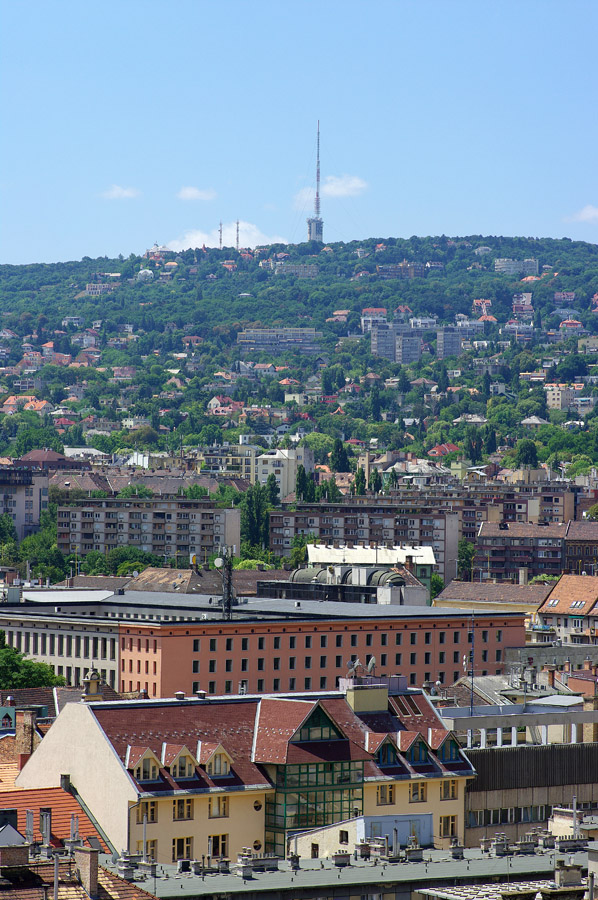 IMGP1632