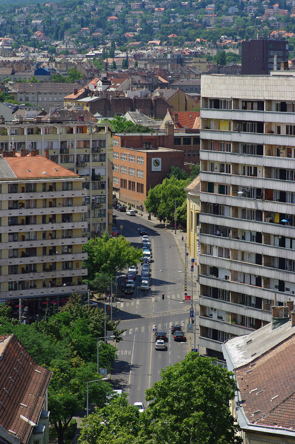 IMGP1659