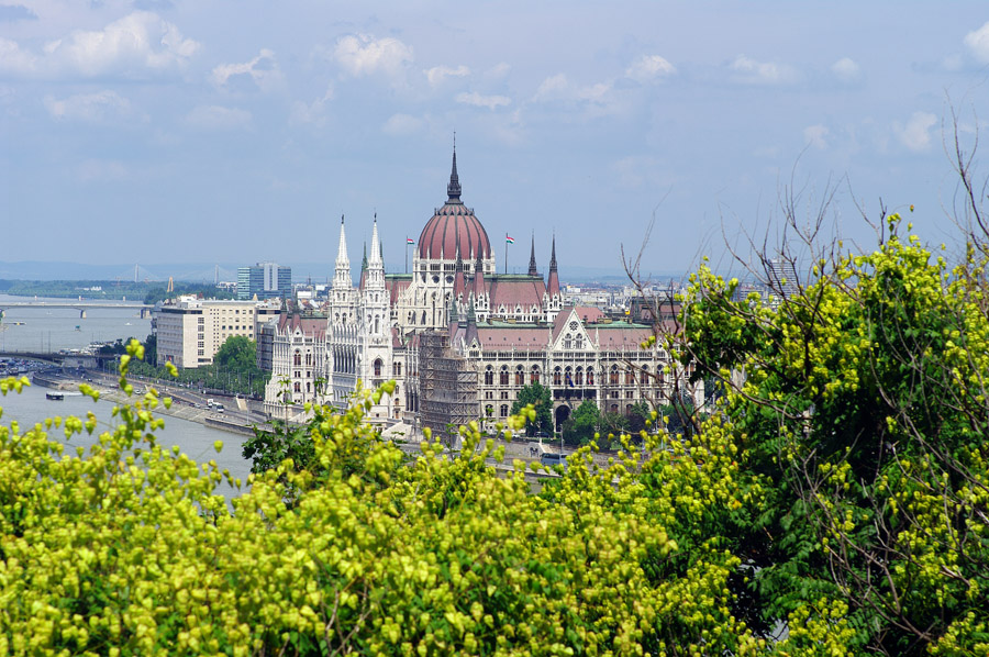 IMGP1707