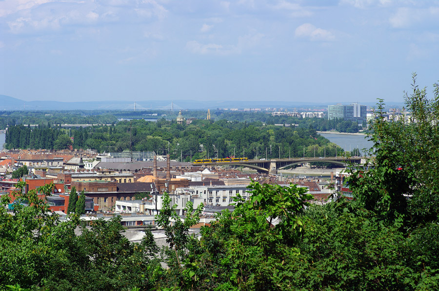 IMGP1769