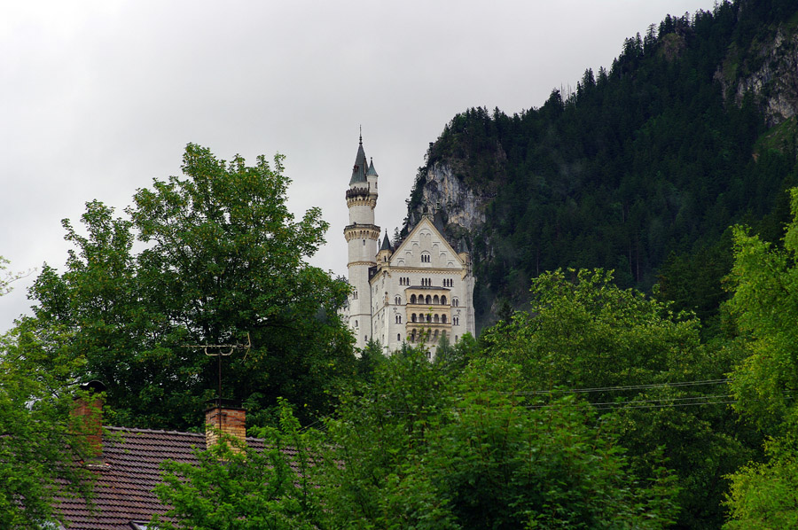 IMGP1958