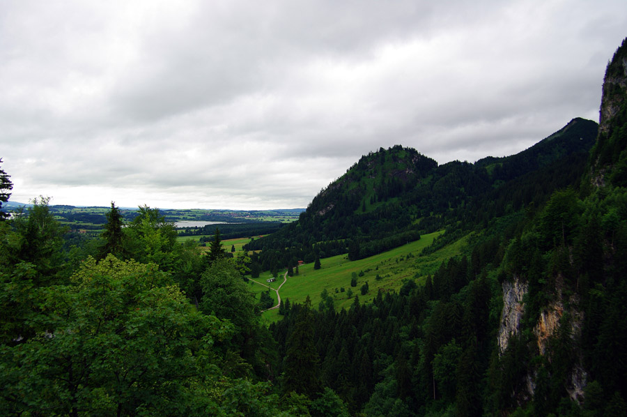 IMGP2006