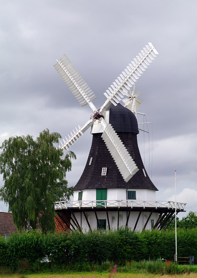 IMGP9283