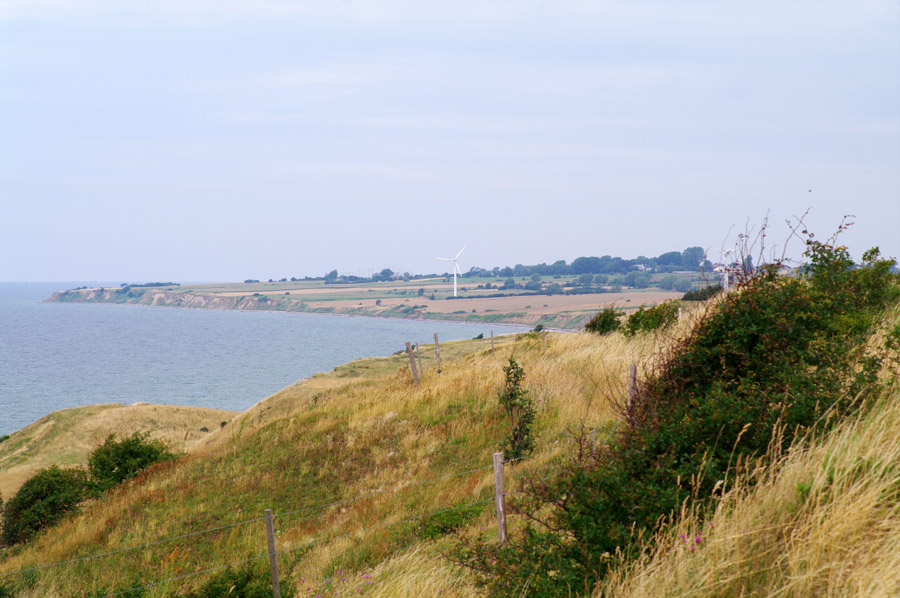 IMGP9575