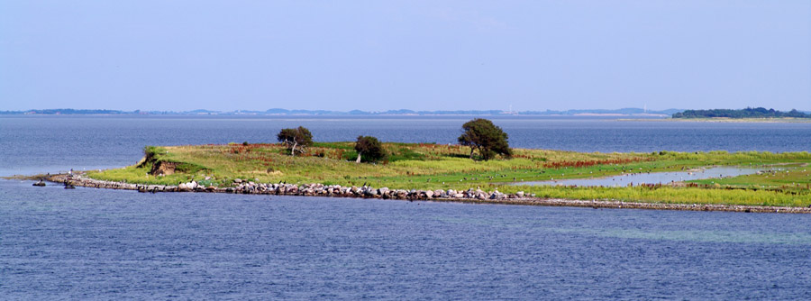 IMGP9577