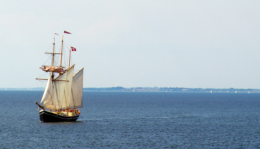 IMGP9584_2