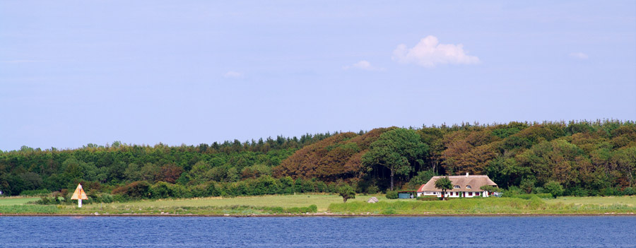 IMGP9615