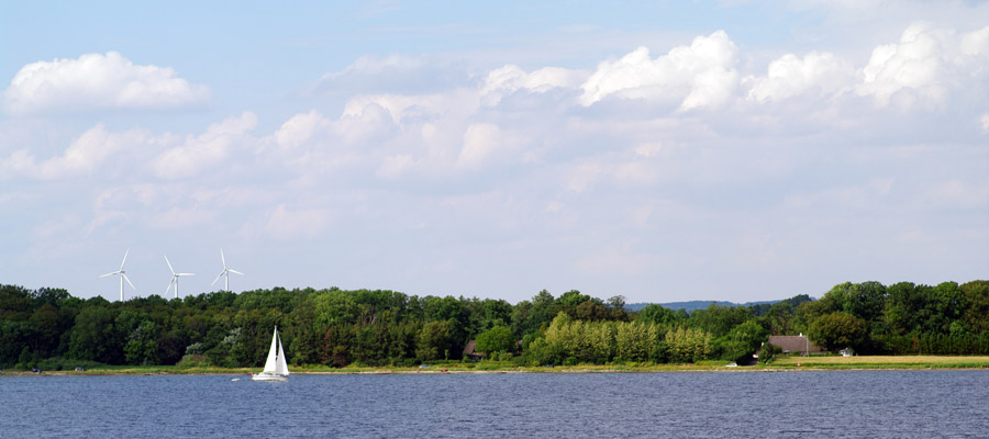 IMGP9636
