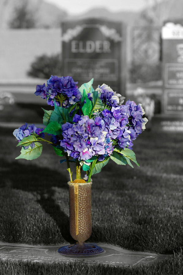 IMGP9157_bwc