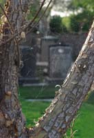 IMGP9202_5