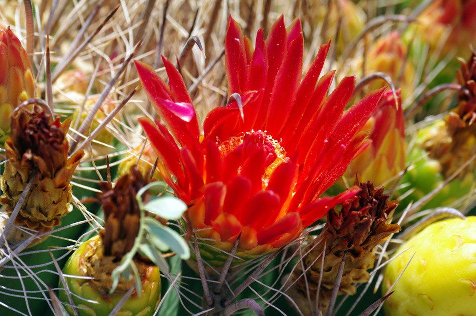 IMGP0802