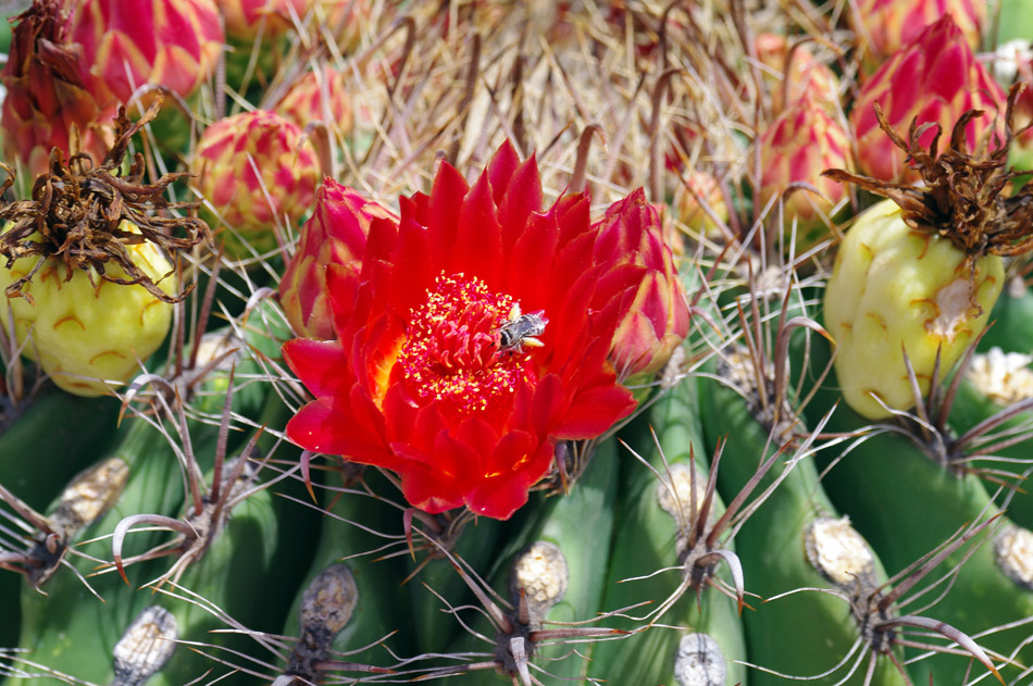 IMGP0806